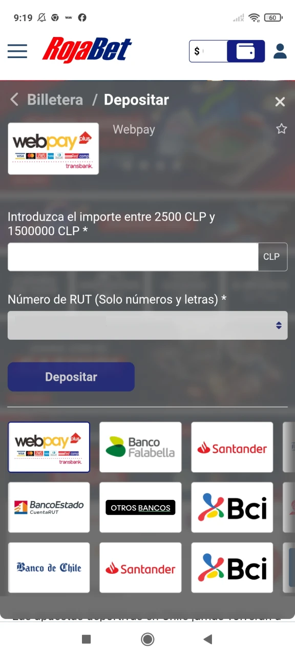 Complete los datos para recargar sus fondos en Rojabet.