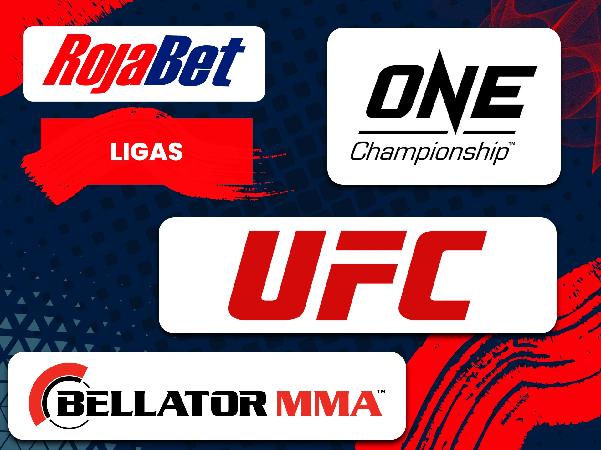 Las ligas mundiales UFC y MMA están disponibles para apostar en Rojabet.